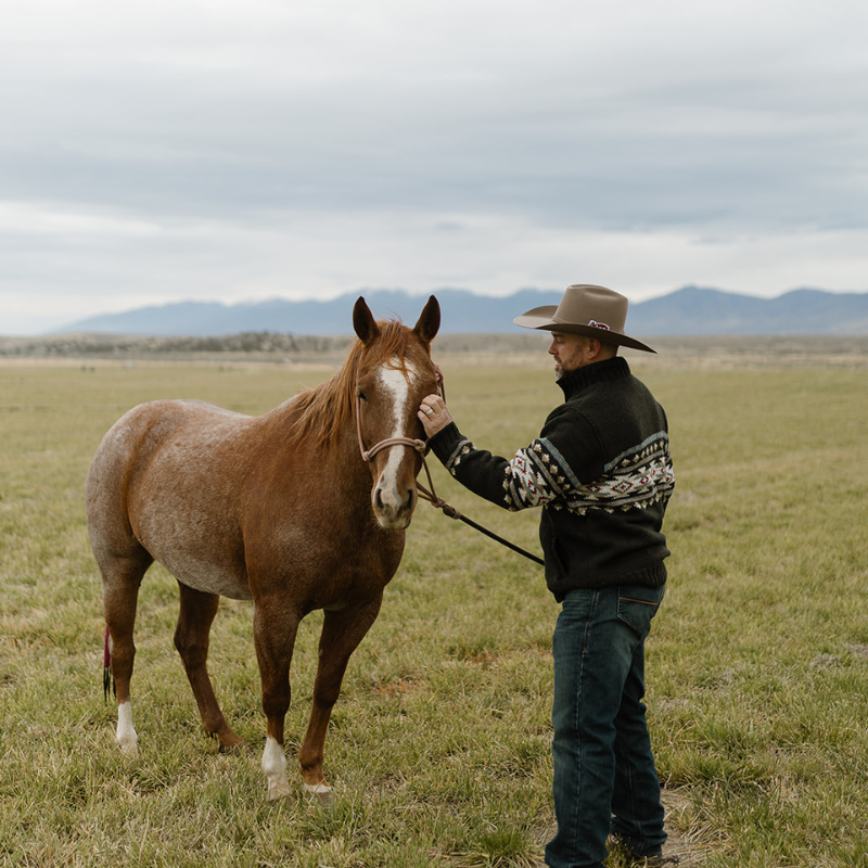 Austin Pinion Sweater - Image 8