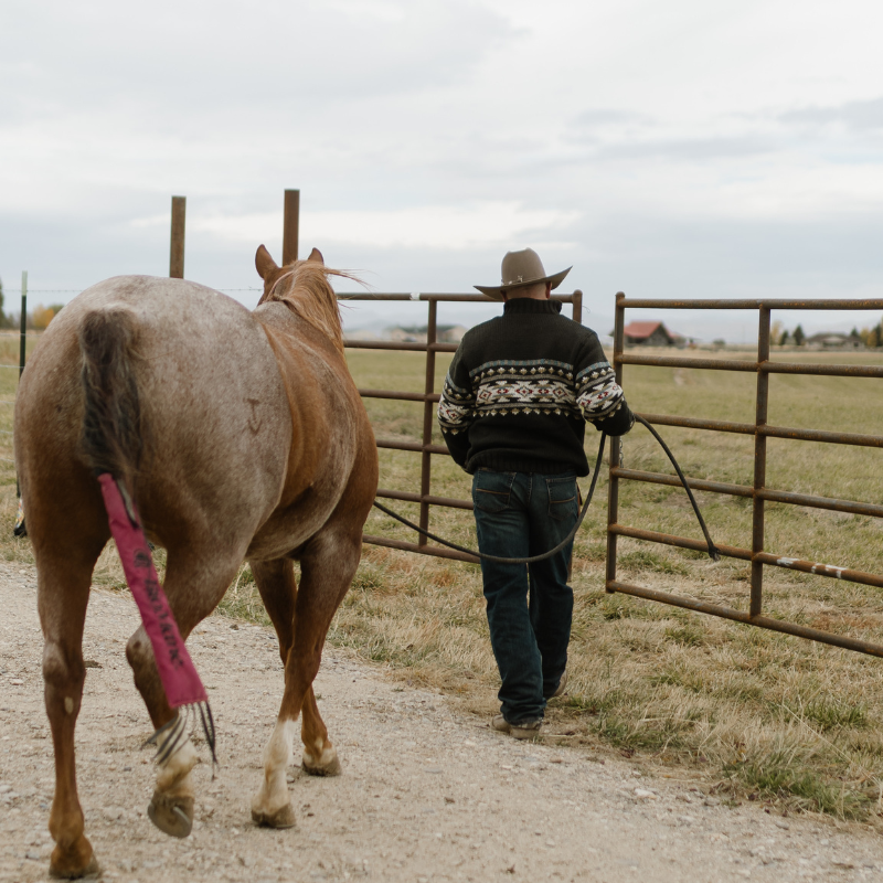 Austin Pinion Sweater - Image 6