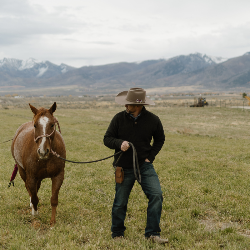 Capriola Range Sweater – Pinion Green - Image 2