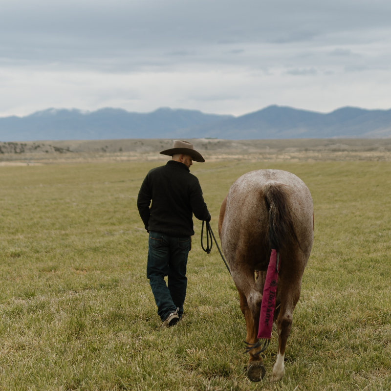 Capriola Range Sweater – Pinion Green - Image 3